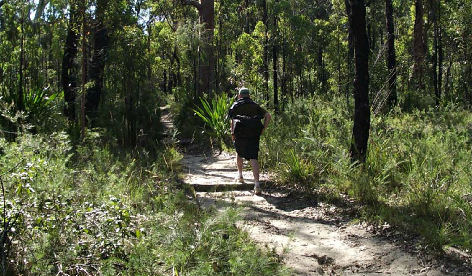 Heathcote NSW Accommodation Gladstone