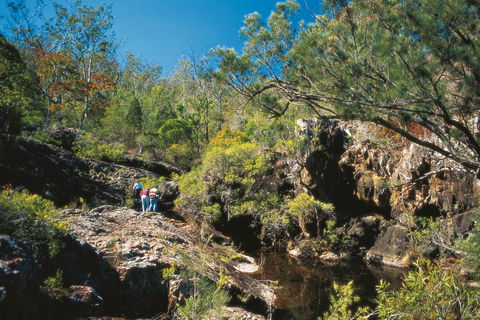 Kroombit Tops National Park - Accommodation Gladstone 0