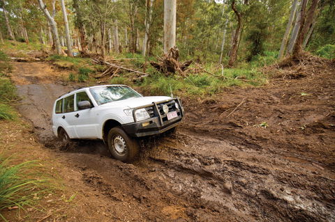 Kroombit Tops National Park - Accommodation Gladstone 1
