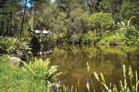 Kurth Kiln Regional Park - Accommodation Gladstone 0