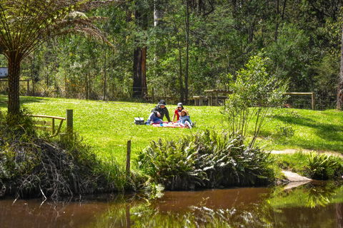 Kurth Kiln Regional Park - Accommodation Gladstone 1