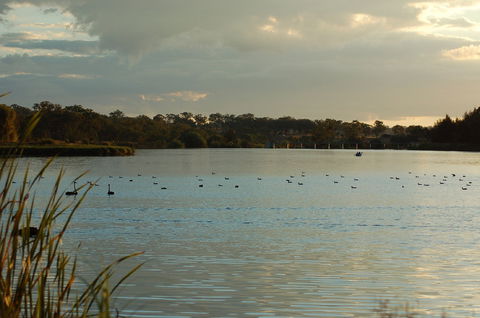 Lake Inverell Reserve - Accommodation Gladstone 0