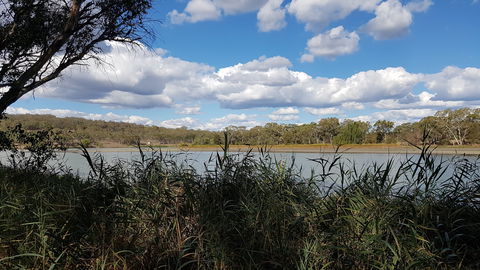 Lake Inverell Reserve - Accommodation Gladstone 1