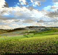 Lions Park Hodgson Vale - Accommodation Gladstone