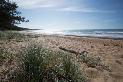 Mon Repos Beach - Accommodation Gladstone 1