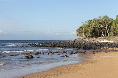 Mon Repos Beach - Accommodation Gladstone 2