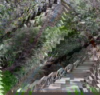 Mulwaree River Walkway - Accommodation Gladstone