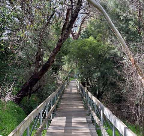 Mulwaree River Walkway - Accommodation Gladstone 0