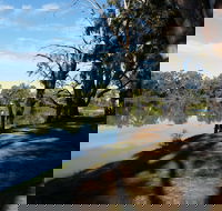 Murray River National Park - Katarapko - Accommodation Gladstone