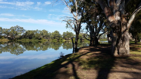 Murray River National Park - Katarapko - Accommodation Gladstone 0