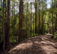 Myrtle Scrub Scenic Drive - Accommodation Gladstone