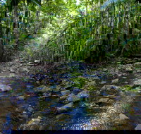 Nambucca Valley - Accommodation Gladstone