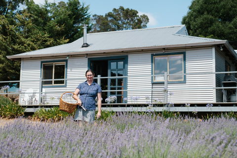 Nannup Lavender Farm - Accommodation Gladstone 1