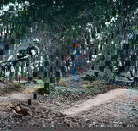 Nerang Mountain Bike Trails - Accommodation Gladstone