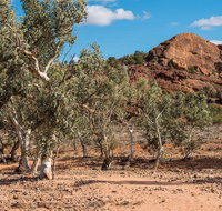 Old Coach Road Drive - Accommodation Gladstone