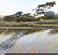 Onkaparinga River Recreation Park - Accommodation Gladstone