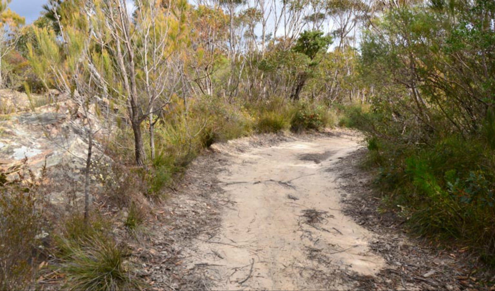 Browns Mountain NSW Accommodation Gladstone