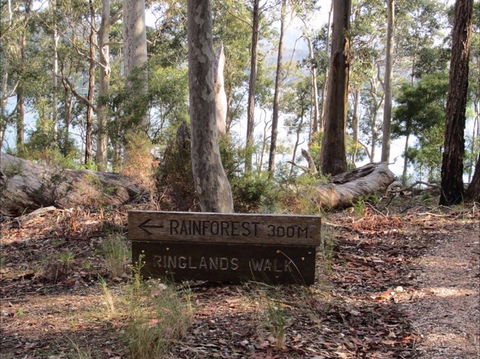 Ringlands Rotary Walk Narooma - Accommodation Gladstone 0