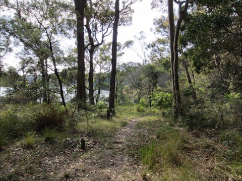 Ringlands Rotary Walk Narooma - Accommodation Gladstone 2