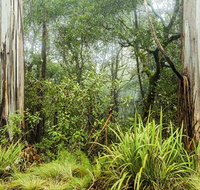 River walking track - Accommodation Gladstone