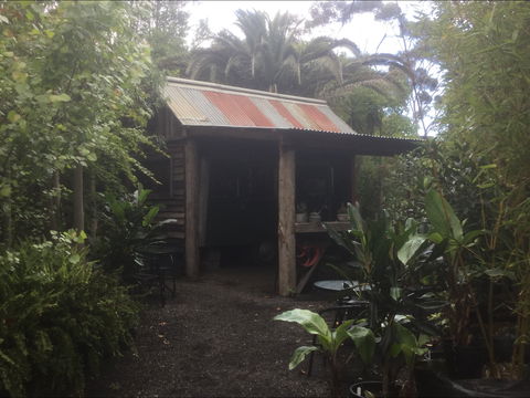 Roraima Nursery And Cafe - Accommodation Gladstone 1