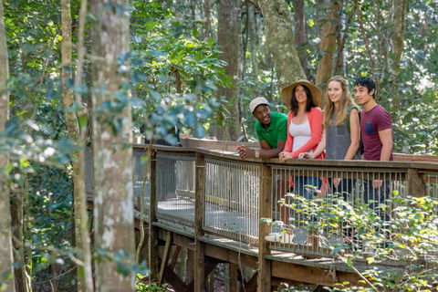 Sea Acres Rainforest Centre - Accommodation Gladstone 1