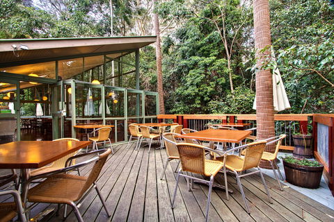 Sea Acres Rainforest Centre - Accommodation Gladstone 2