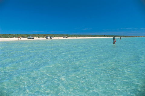 Shark Bay World Heritage Drive - Accommodation Gladstone 1