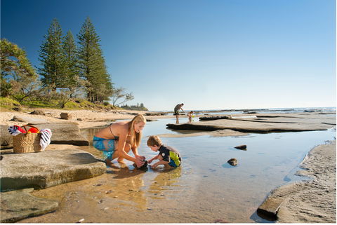 Shelly Beach - Accommodation Gladstone 0