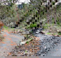 Stepping Stone Crossing to Cascades Trail - Accommodation Gladstone
