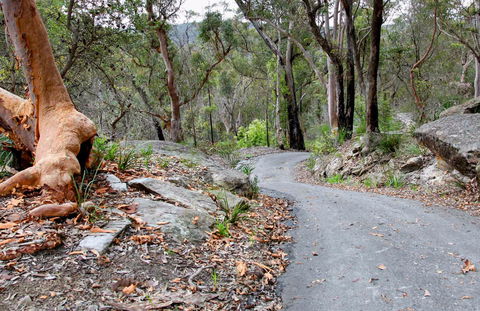 Stepping Stone Crossing To Cascades Trail - Accommodation Gladstone 0