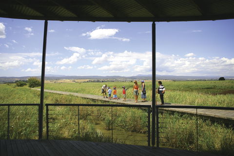 Tamar Island Wetlands Centre And Reserve - Accommodation Gladstone 0