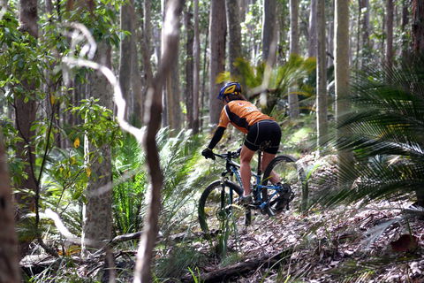 Tathra Beach - Accommodation Gladstone 1