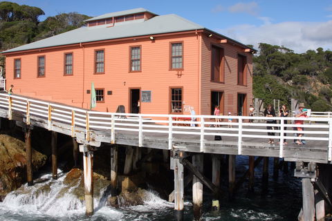 Tathra Beach - Accommodation Gladstone 2