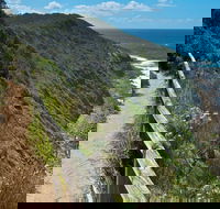The Coast Walking Track - Accommodation Gladstone