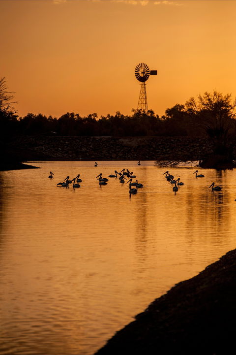 Thomson River, Longreach - Accommodation Gladstone 2