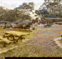 Thredbo River picnic area - Accommodation Gladstone