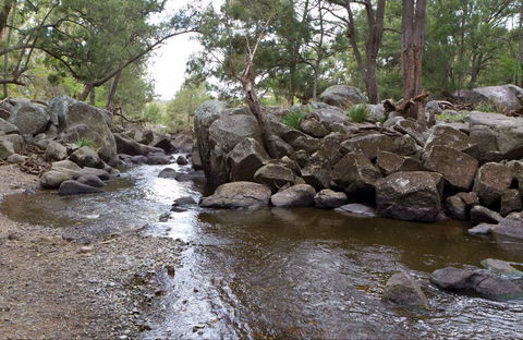 Threlfall Walking Track - Accommodation Gladstone 0