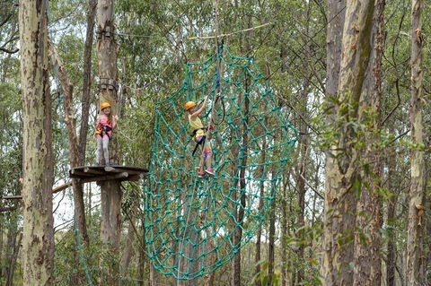 TreeTops Newcastle - Accommodation Gladstone 0
