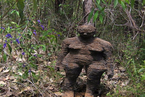 Understory Art In Nature - Accommodation Gladstone 0
