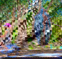Wagirra Trail and Yindyamarra Sculpture Walk - Accommodation Gladstone