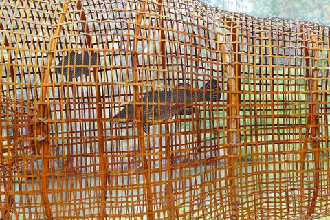 Wagirra Trail And Yindyamarra Sculpture Walk - Accommodation Gladstone 2