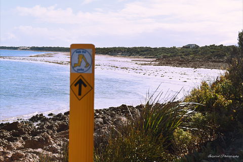 Walk The Yorke Trail - Accommodation Gladstone 2
