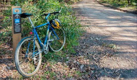 Walter Hood Ride From Cudmirrah - Accommodation Gladstone 0