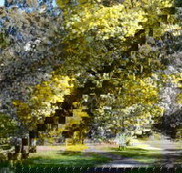 Wattle Park - Accommodation Gladstone