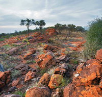 Western Ridge Walk - Accommodation Gladstone