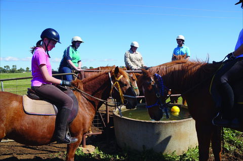 Western Plains Riding Centre - Open - Accommodation Gladstone 0