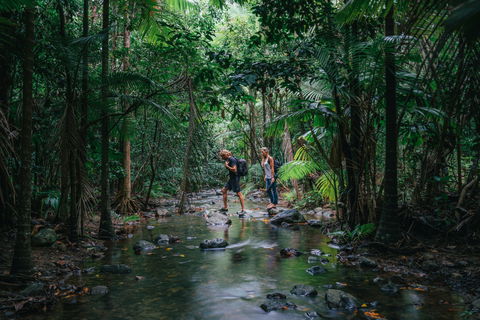 Wet Tropics Rainforest - Accommodation Gladstone 2