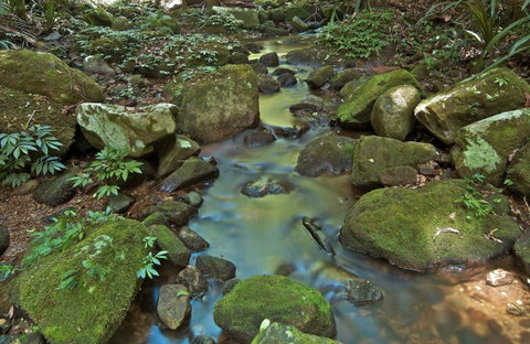 Whian Whian State Conservation Area - Accommodation Gladstone 0