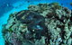 Wreck Bay Dive Site - thumb 1